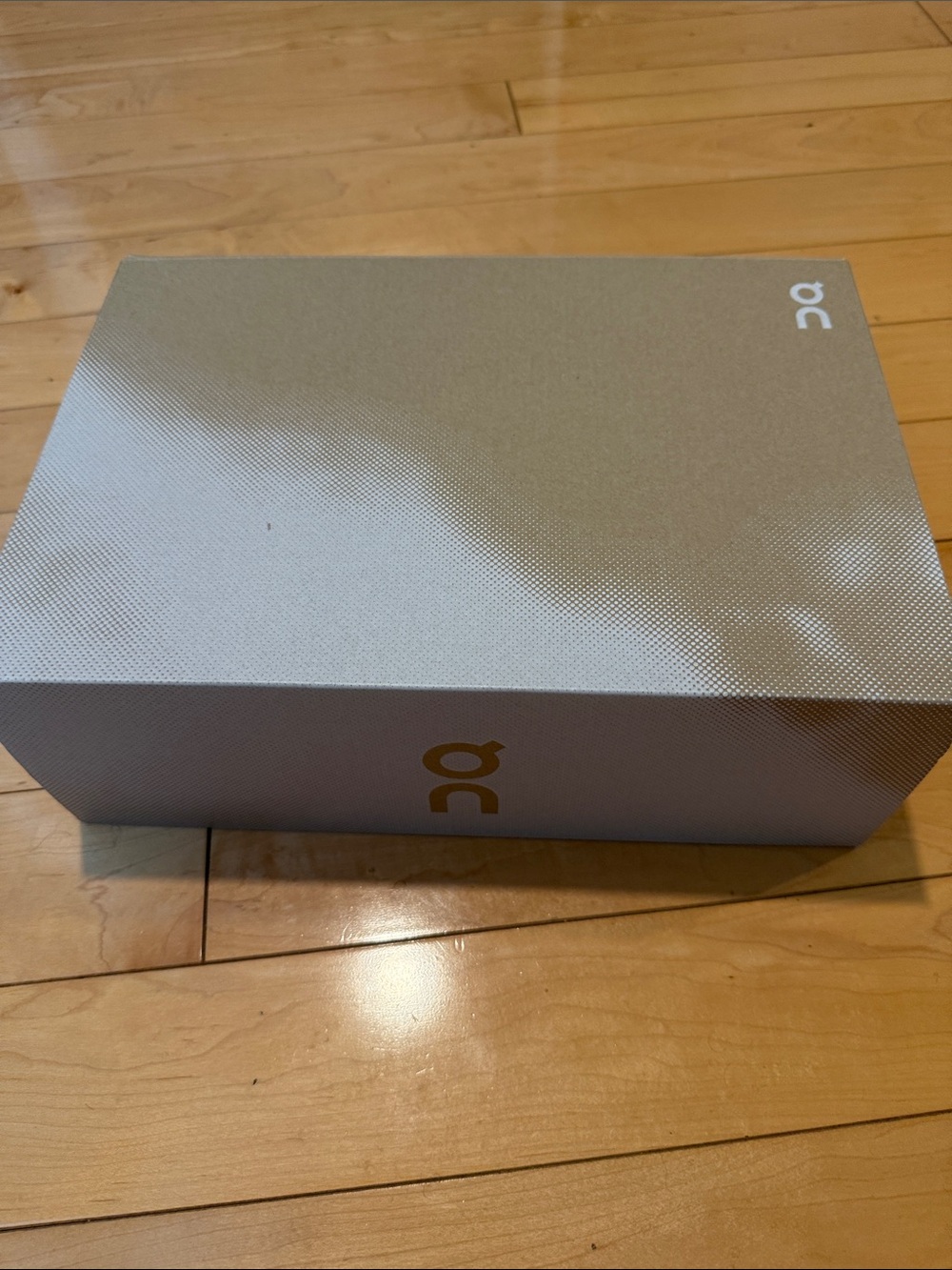 On Running Silver-Gray Shoe Box